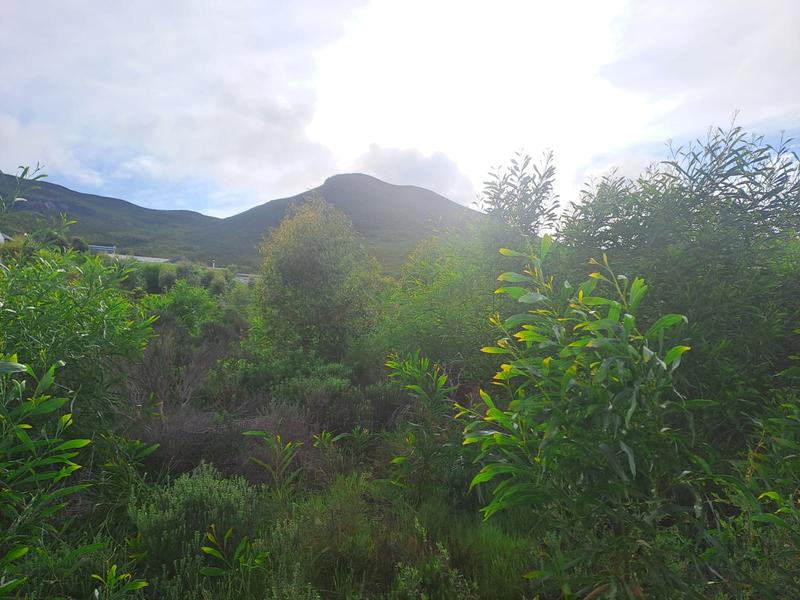 0 Bedroom Property for Sale in Chanteclair Western Cape